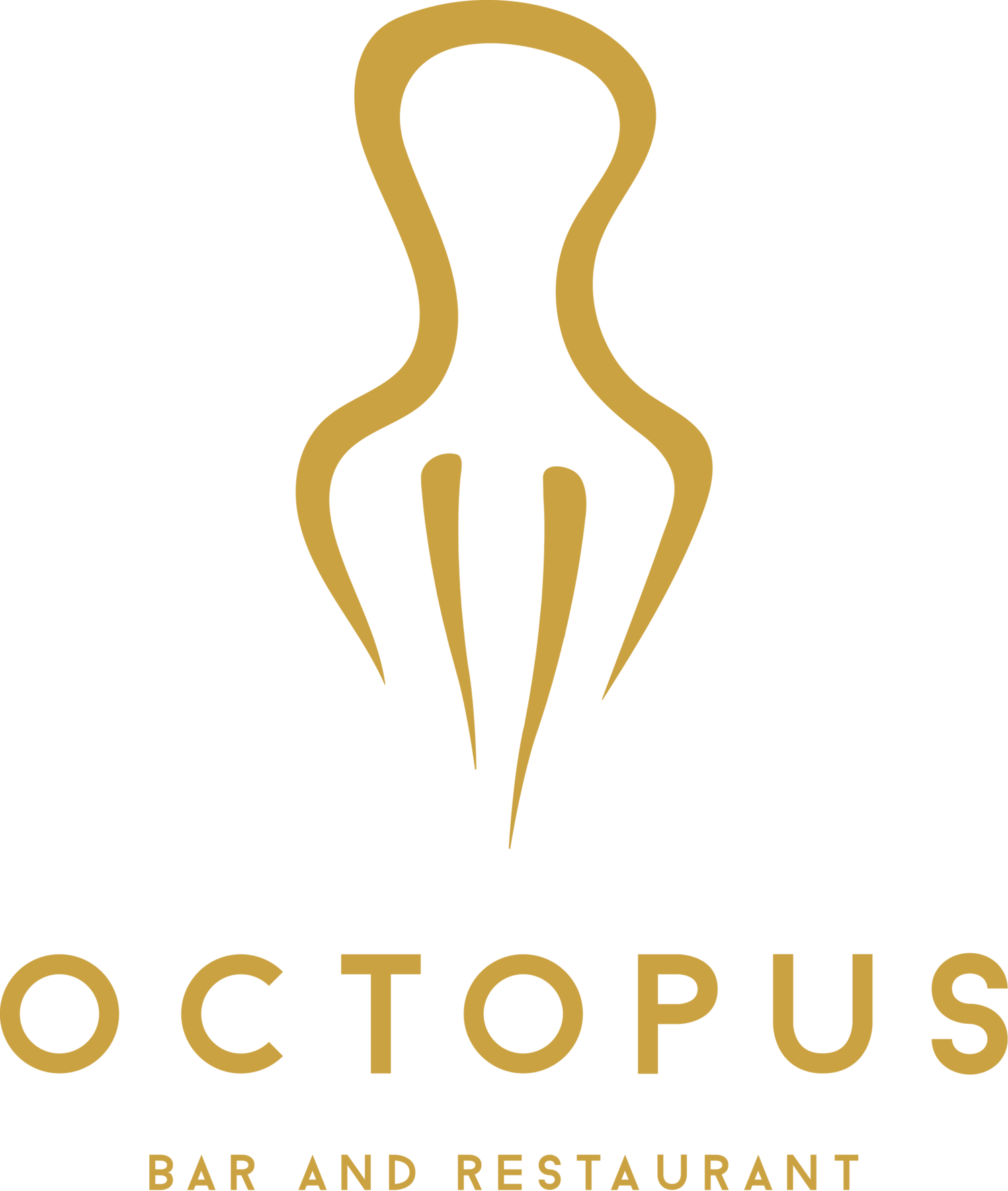 Octopus